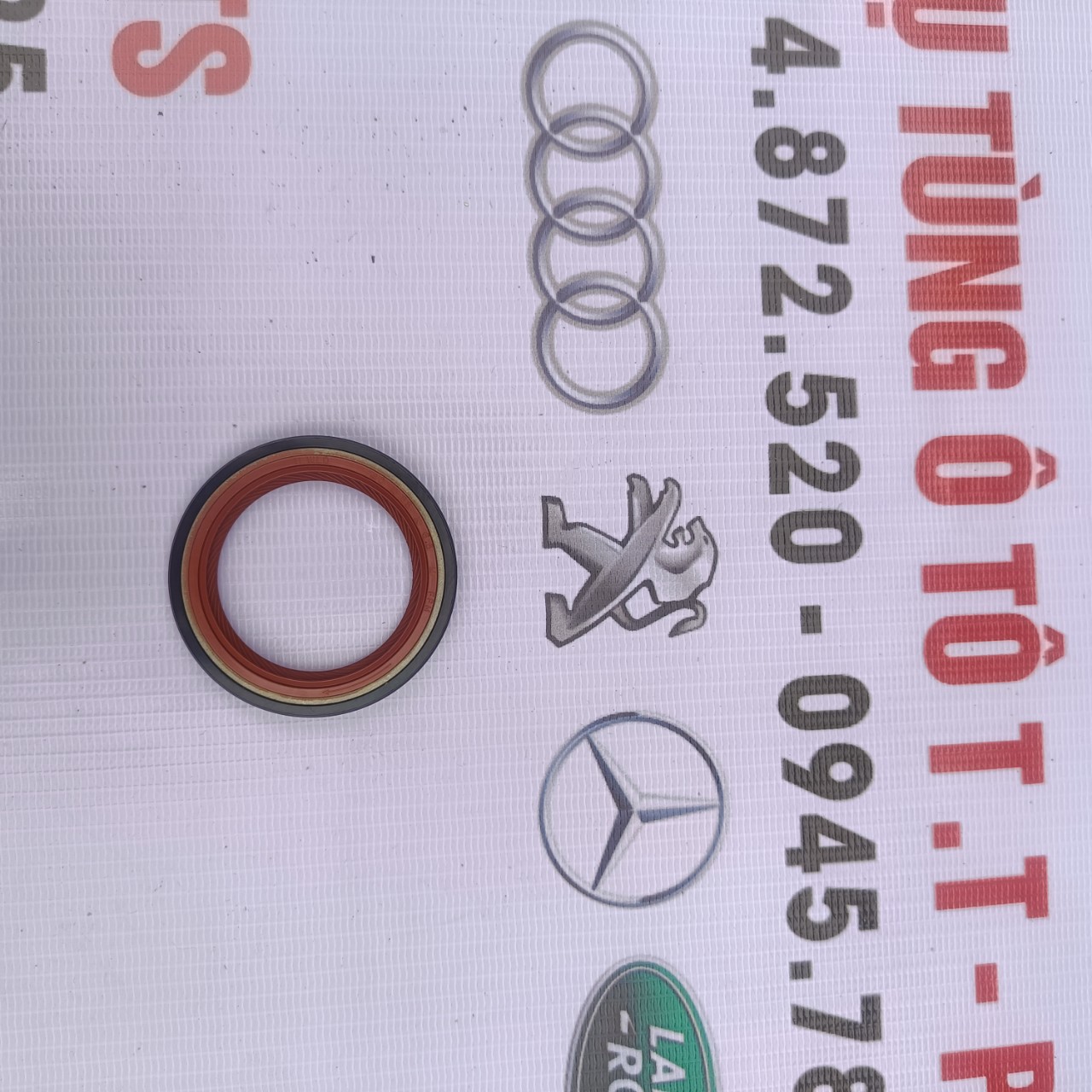 https://ttparts.vn/public/z5021097897482_bd9e8be00f8799ed9fe711e9acaae282