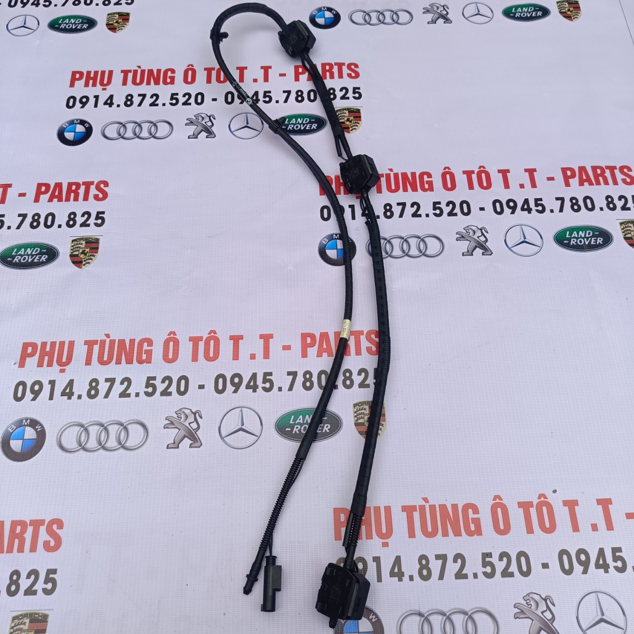 https://ttparts.vn/public/z5024245939843_0f7120db27aa6d8226c9d213df7fe4a8