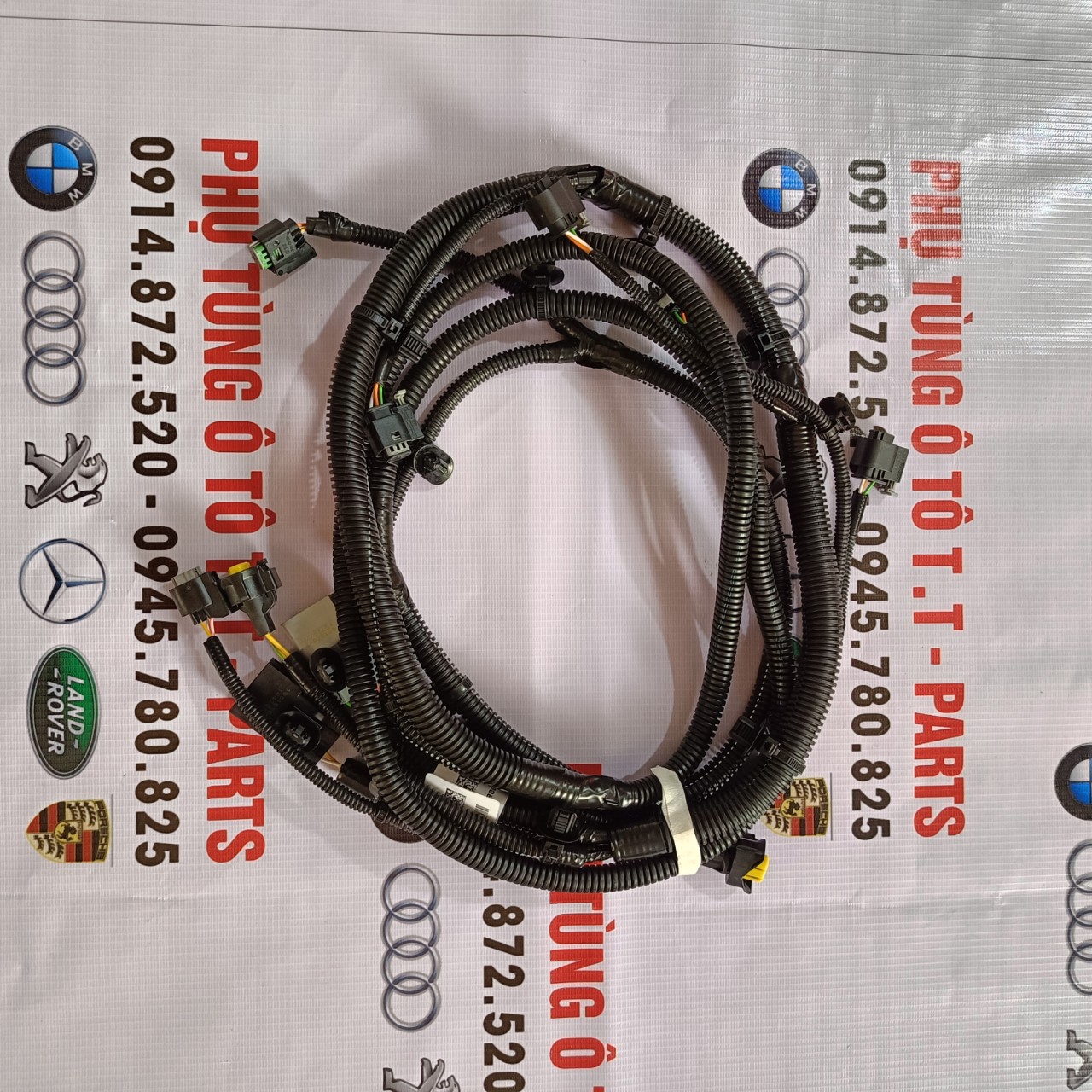 https://ttparts.vn/public/z5053891956865_62d7e61cfd594c9e1357697d3e9beb8b
